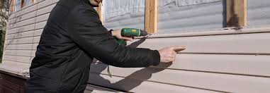 Best Vinyl Siding Installation  in Cicero, IN